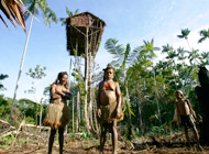 Tribus Korowai 3