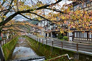 Nuit dans un ryokan traditionnel - Japon-1