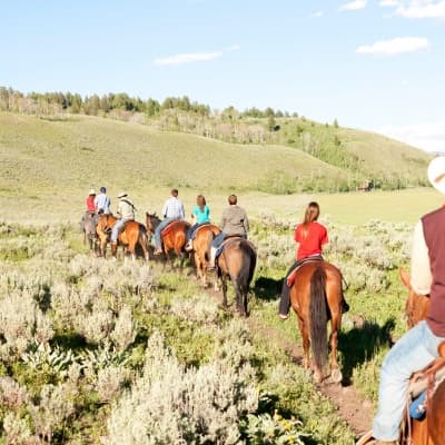 Balade en cheval vers le Mont Sulphur