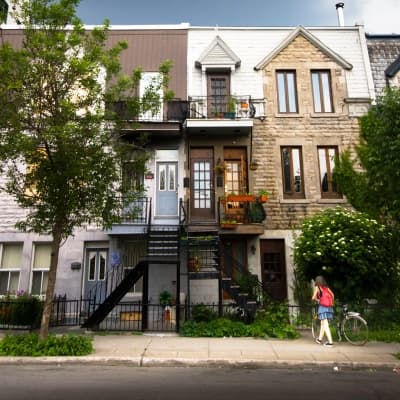 Le Plateau Mont Royal