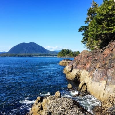 Tofino