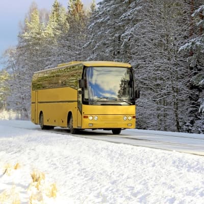 Bus des neiges sur le glacier Columbia Icefield