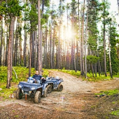 Quad dans la forêt